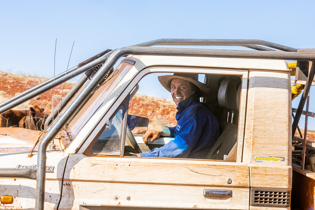 A stationhand or jackaroo in his work ute, rounding up cattle at mustering time in the Pilbara