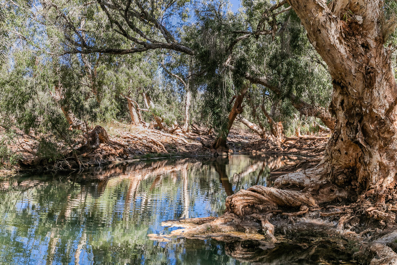 Running Waters - a hidden gem in the Pilbara