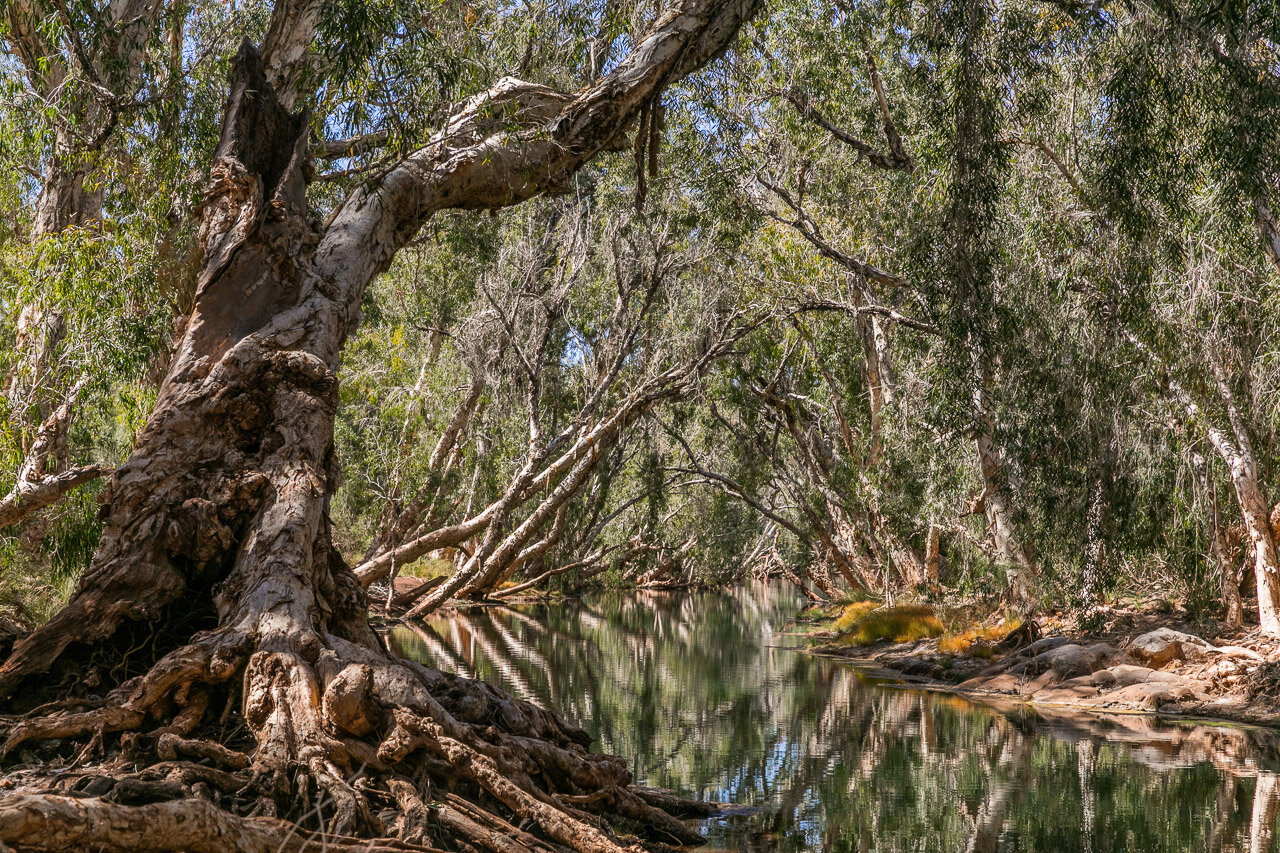 Running Waters is the perfect place to escape from the Pilbara sun...but it's a bit of a drive to get there