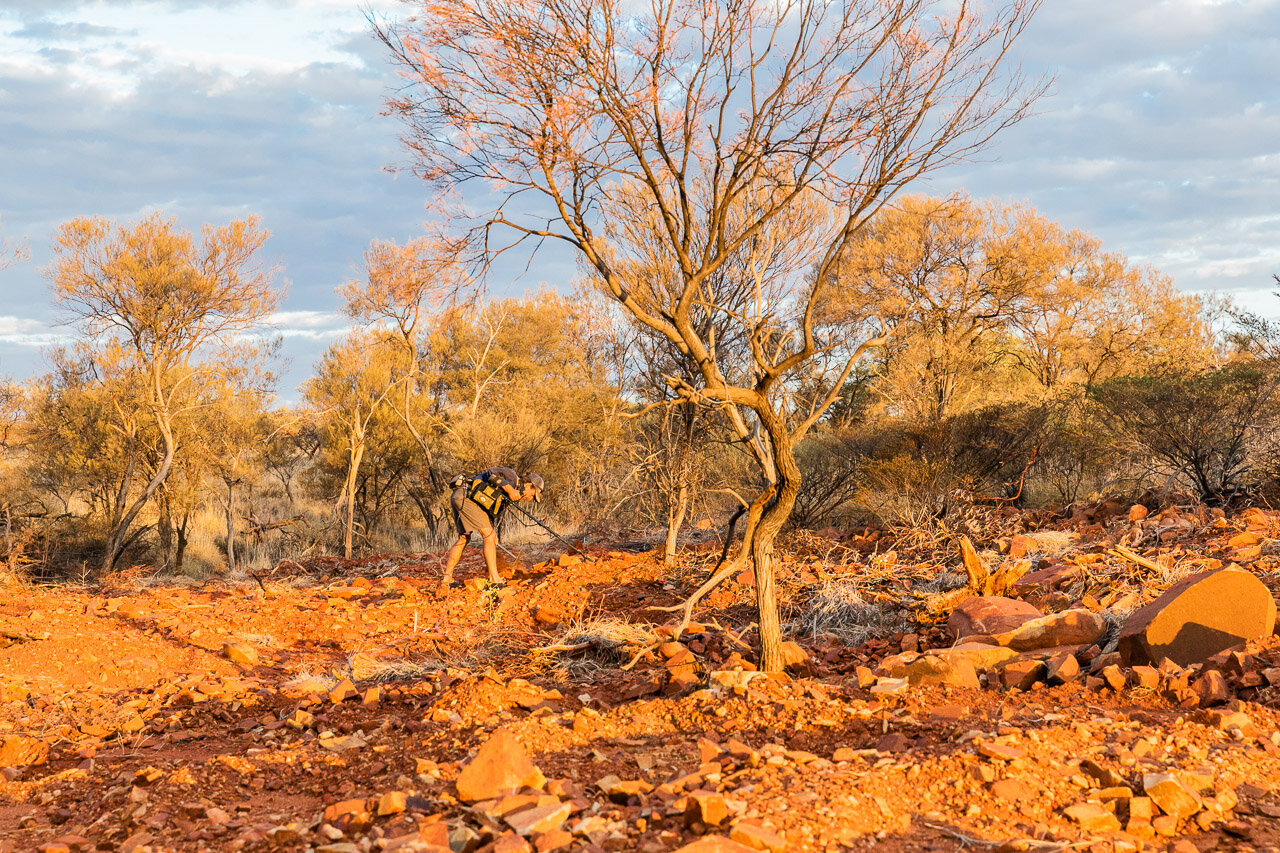 Gold-prospectors-Pilbara-15.jpg