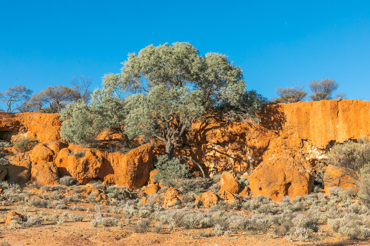 The breakaways through the Goldfields glow in the late afternoon sun