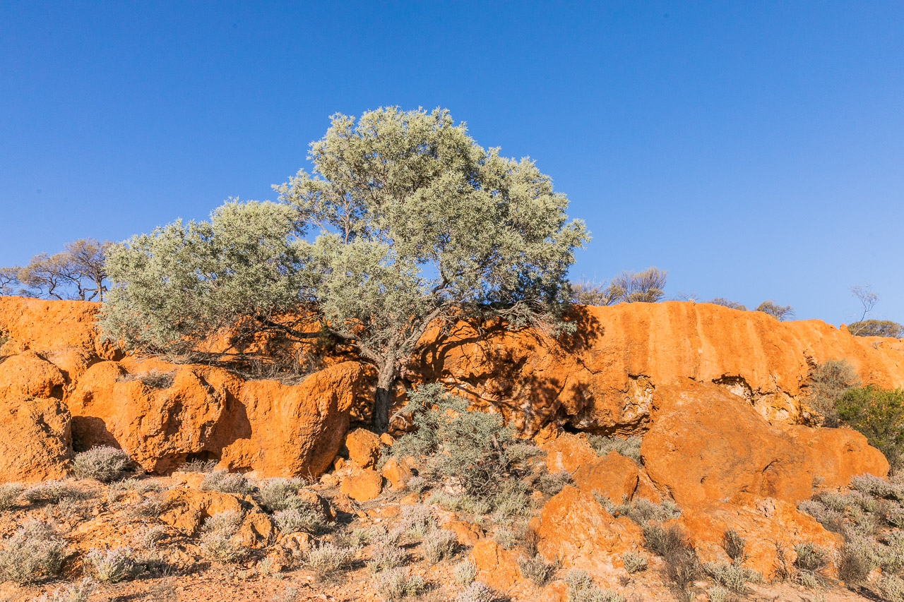 The colours of the Goldfields