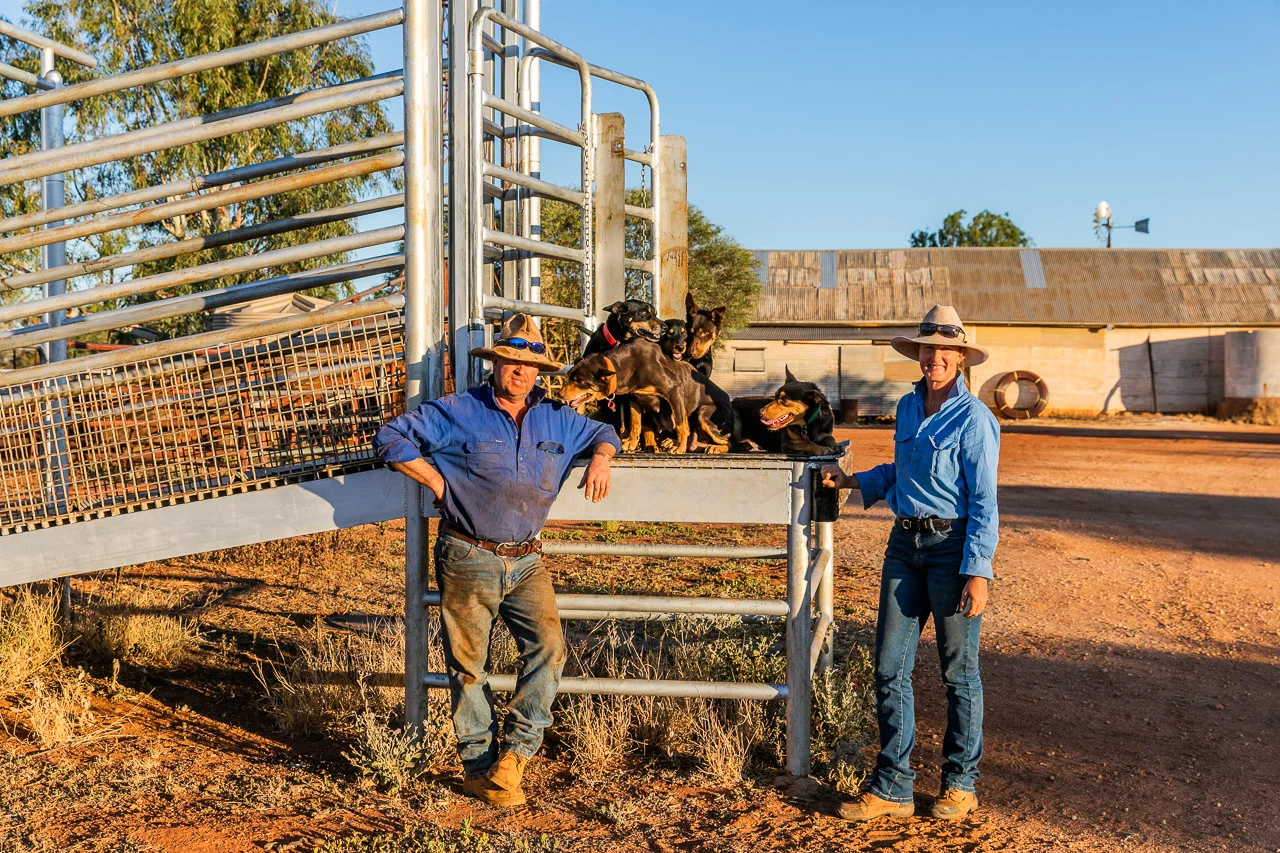 Nallan Station owners and their working dogs in the yards