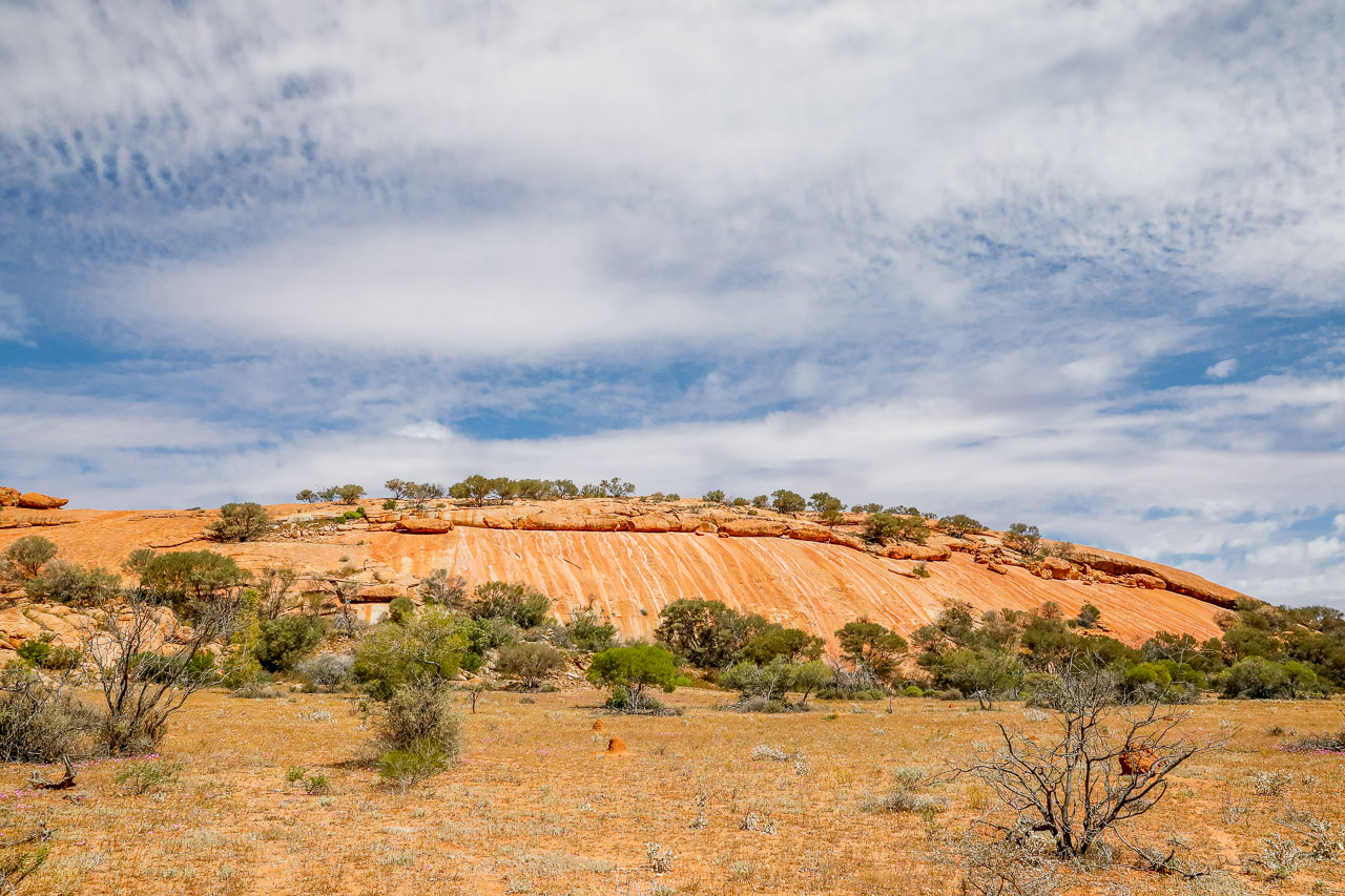 Walga Rock is one of Australia's largest granite monoliths and features well-preserved Aboriginal art