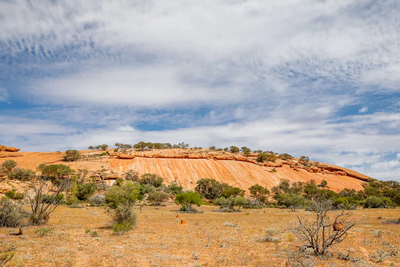 Walga Rock is one of Australia's largest granite monoliths and features well-preserved Aboriginal art