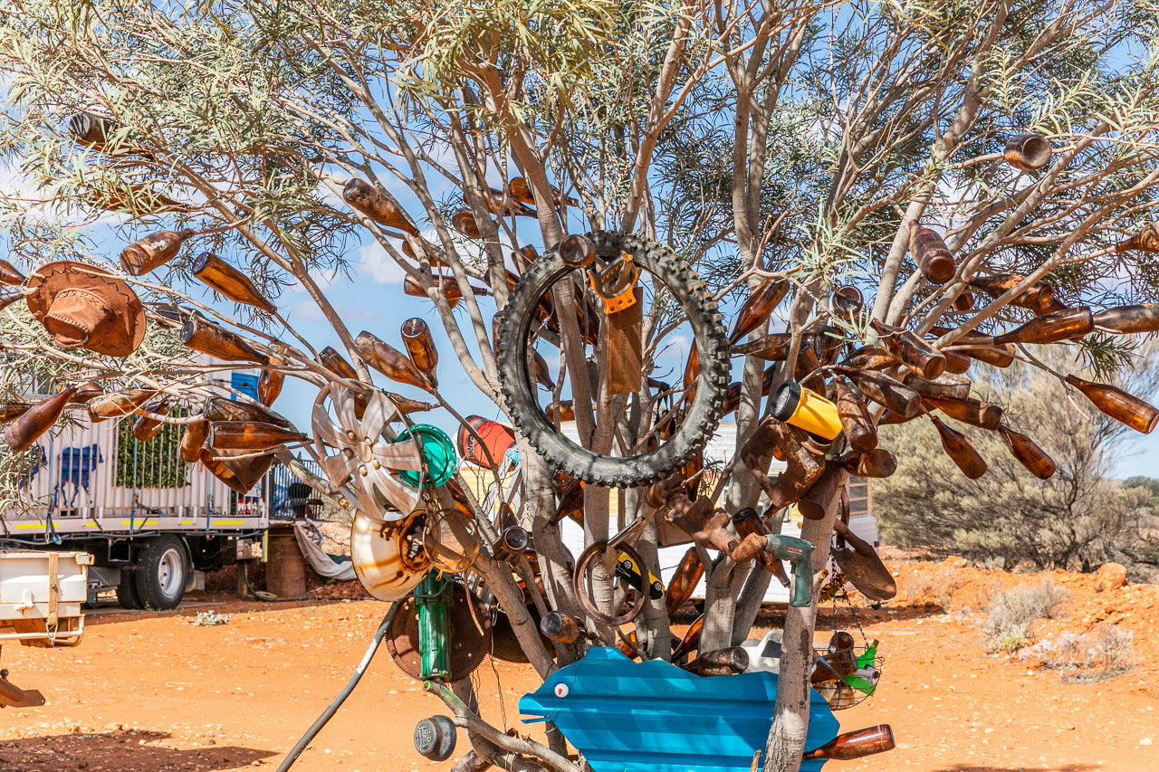 Occasionally in the outback you spot a random sock tree or teddy bear tree. This is a bottle tree.