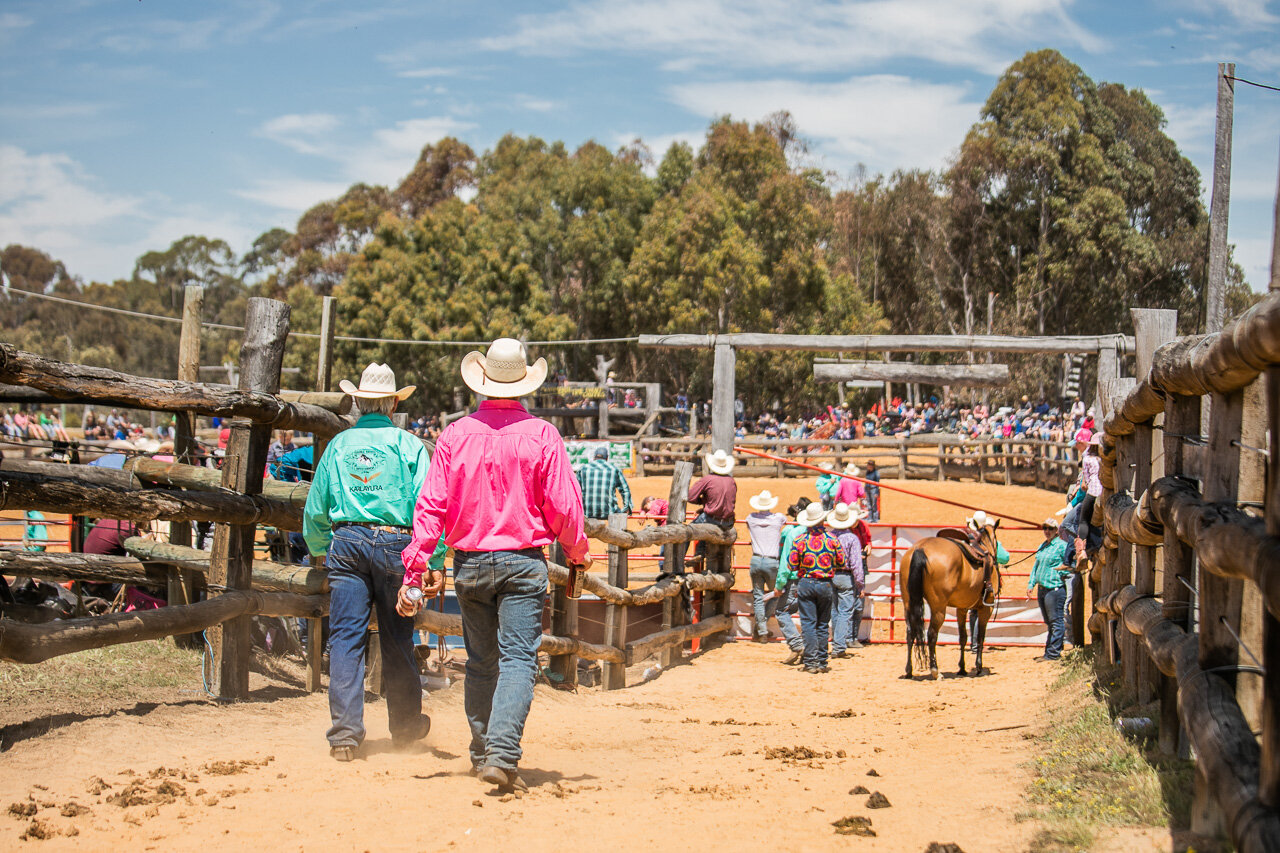 Cowboys strolling down the race at the rodeo in SW Australia