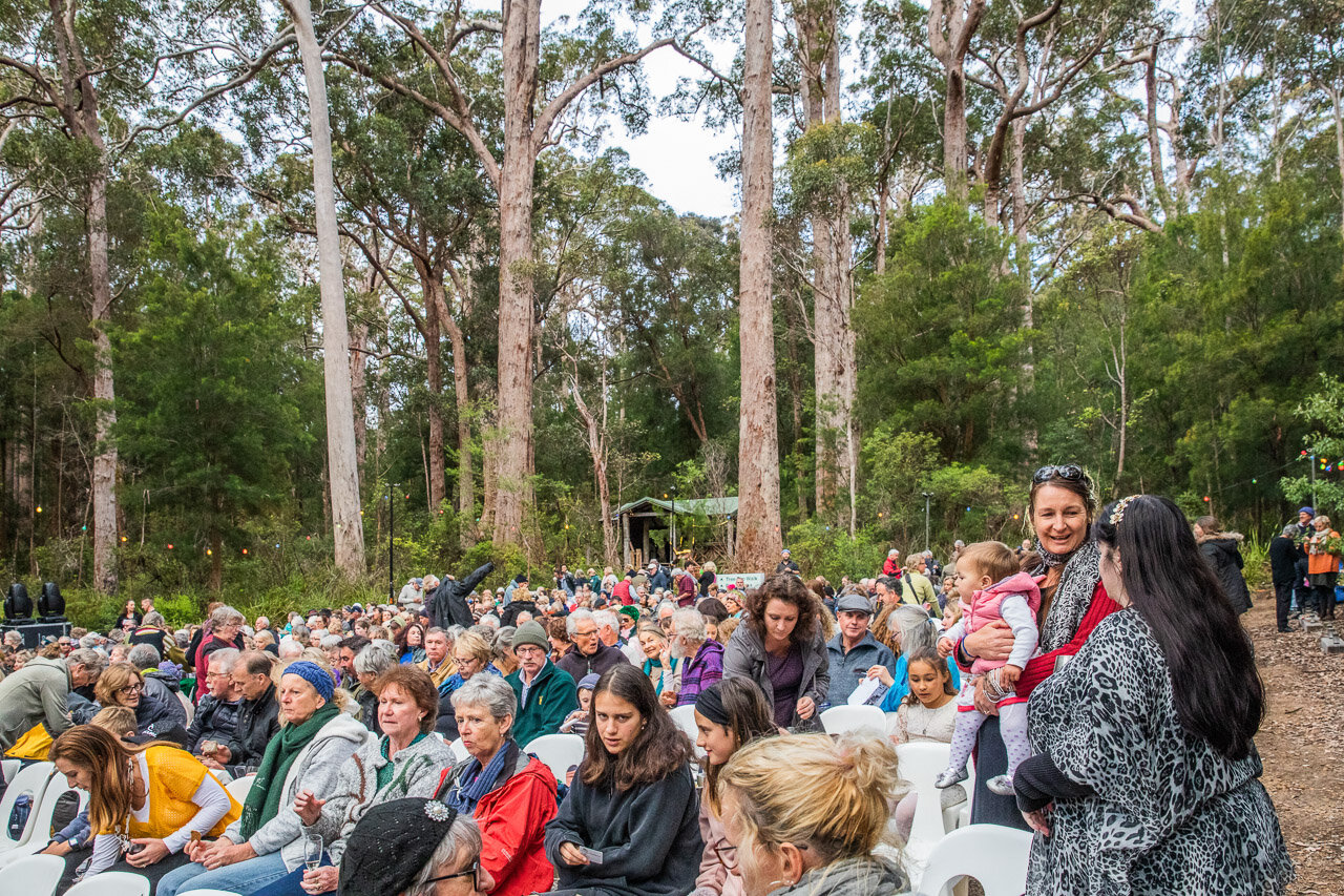 The audience surrounded by the tall trees in the Valley of the Giants before the WA Opera performance