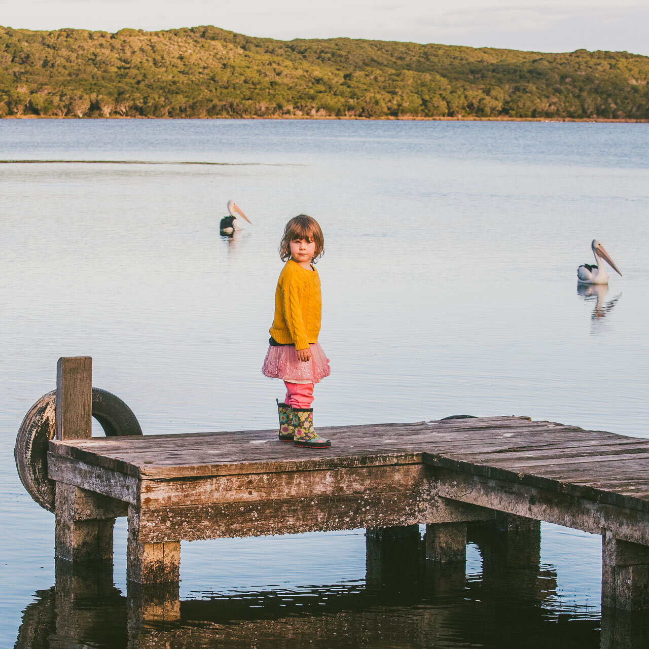 Photo of a small girl on a jetty with two pelicans, taken at Poddy Shot Jetty in Denmark WA