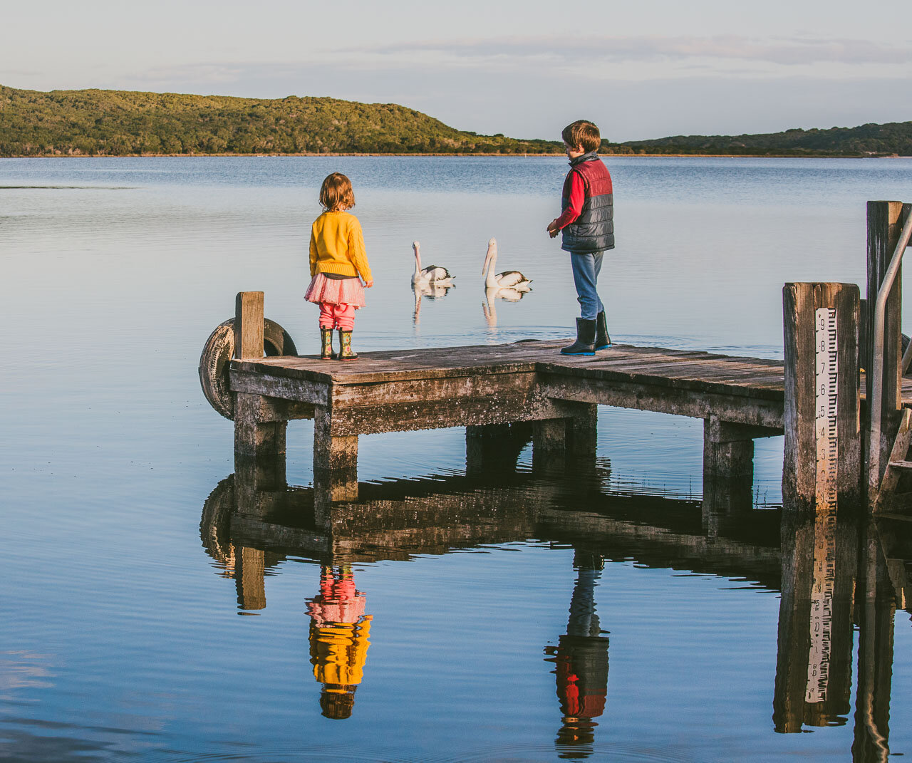 Two children and pelicans on a jetty with reflections in the inlet in Denmark WA