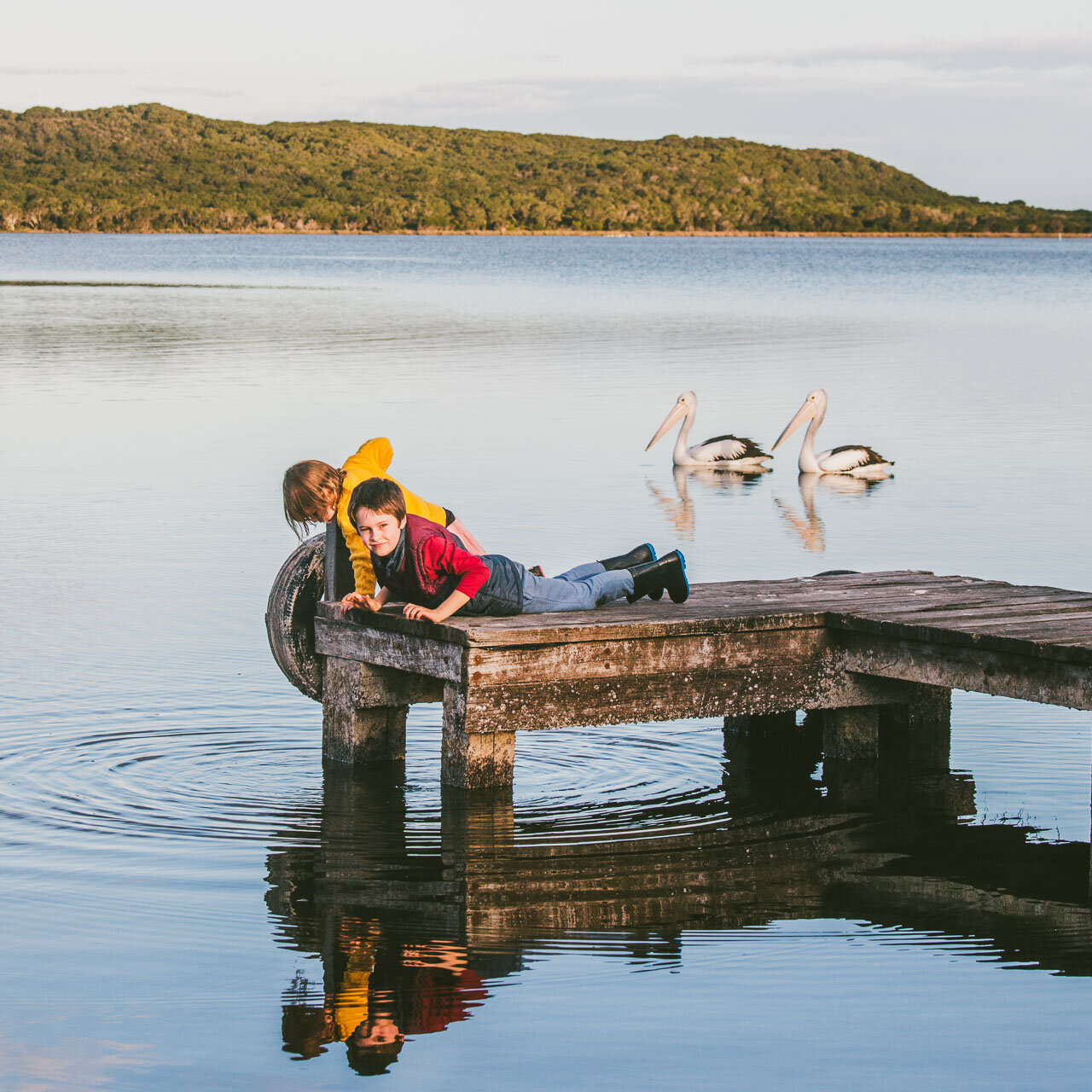 Brother and sister and their reflections as they lie on a jetty with two pelicans paddling by, taken during a family portrait session in Denmark, WA