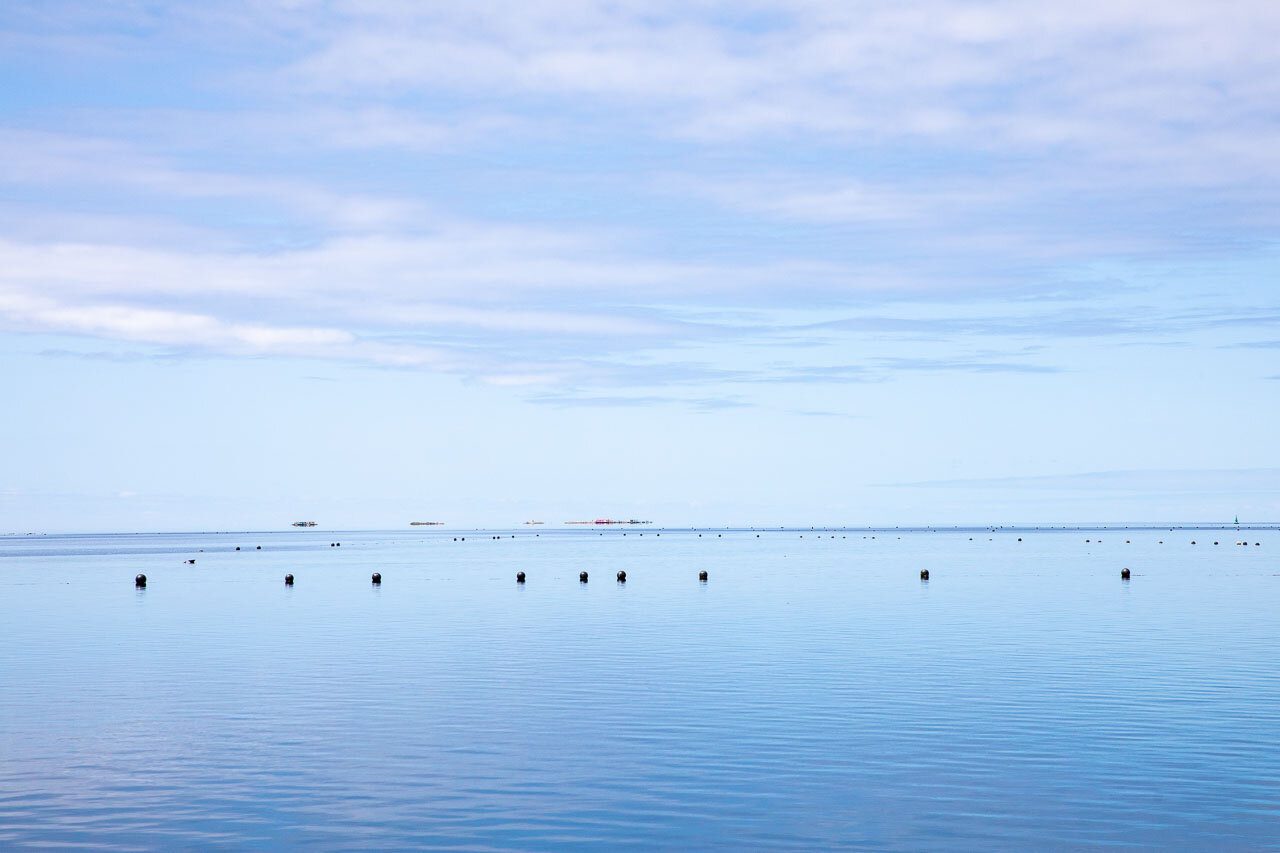 The black buoys float along lines, marking the pearl farm panels suspended underwater