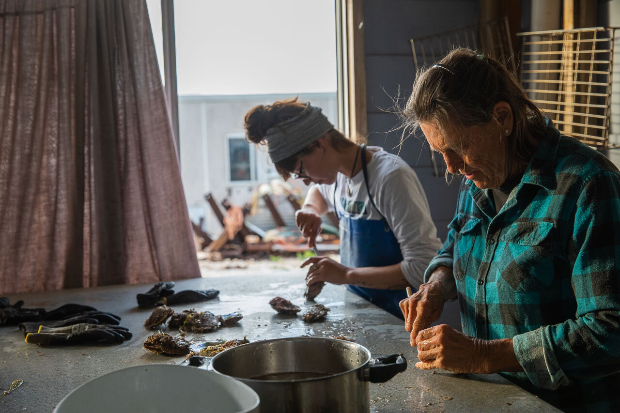 Jane and Amy carefully open the freshly harvested pearl shells 