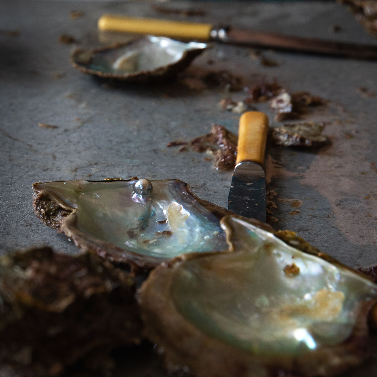 The bone handled shell opening knives lie beside opened pearl shells