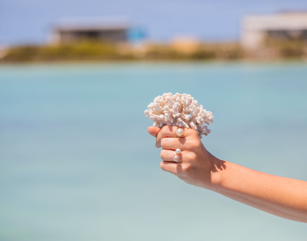 Liddon Pearls pearl rings and Abrolhos Island coral