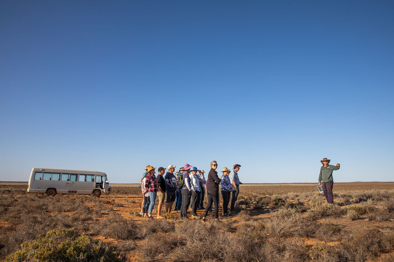 David runs the sunset tour several times a week - a must-do for campers and house-guests alike.