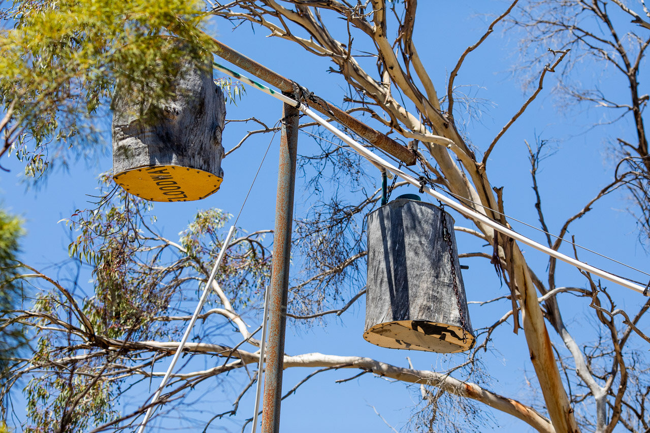 Nesting boxes made with burnt out logs for Carnaby's Black Cockatoos in Moora.