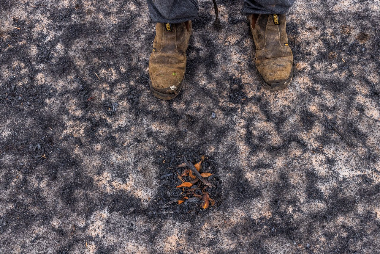 Man's boots and patterns in the burnt ground after a bushfire.