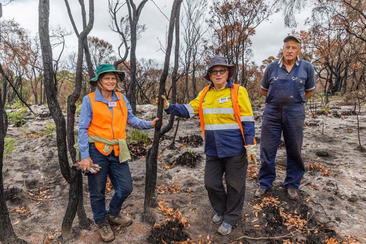 BlazeAid volunteers clearing up the old fencing before erecting the new after a recent bushfire