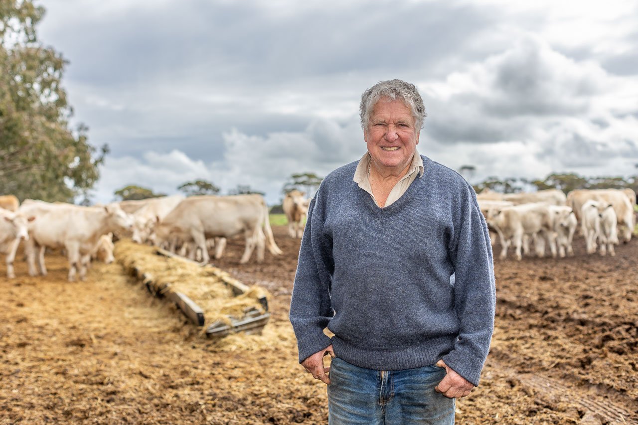 Feeding out means happy cattle and a happy farmer over winter