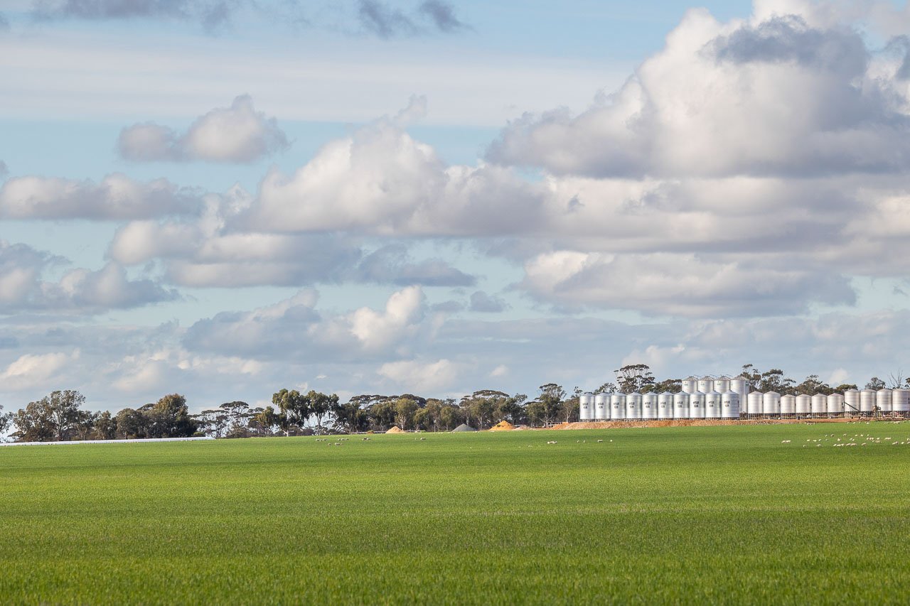 Grain silos, green crops and blue cloudy skies in Kulin, Western Australia