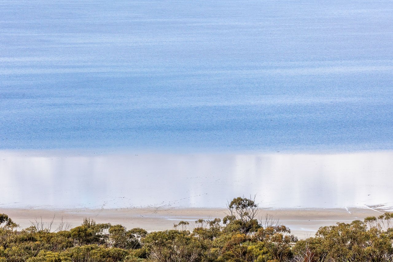 The salt lake is tree lined