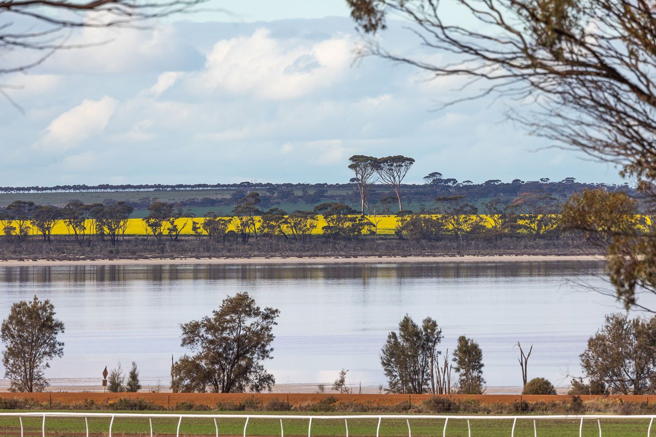 The view across the Kulin Bush Races track to the lake and canola fields