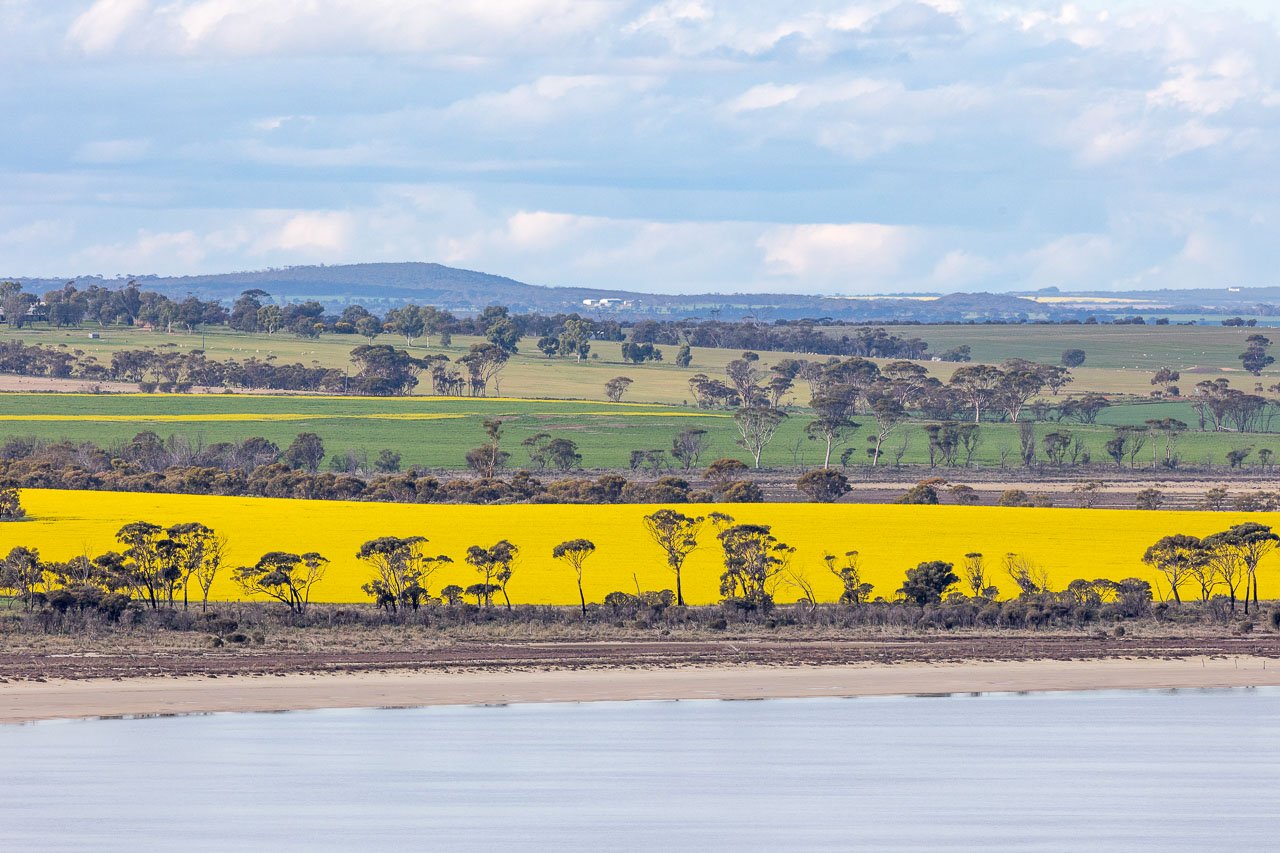 The view in late winter from the top of Kulin's Jilakin Rock is a sight to behold with the canola fields in flower