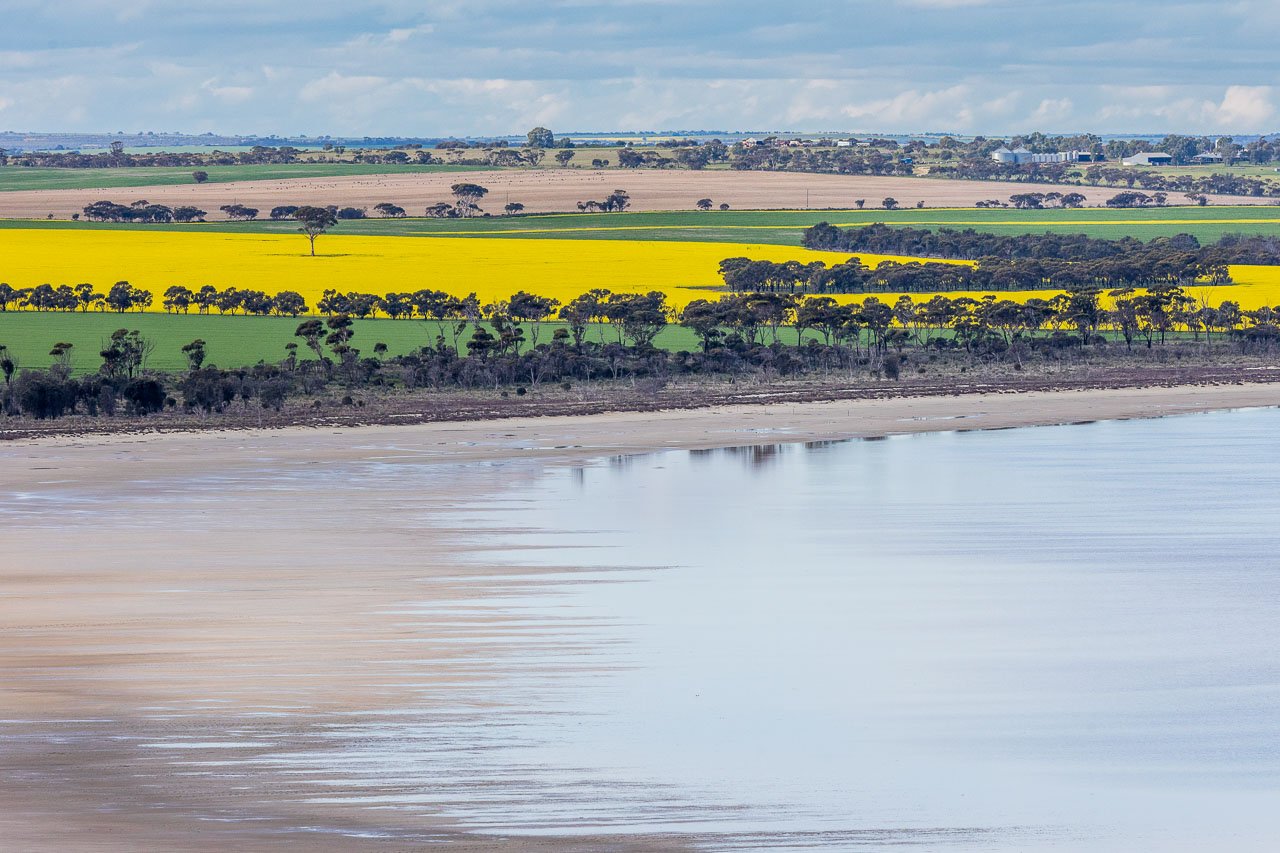 The view across the lake, canola paddocks and landscape beyond taken from Jilakin Rock in Kulin in Western Australia's wheatbelt region