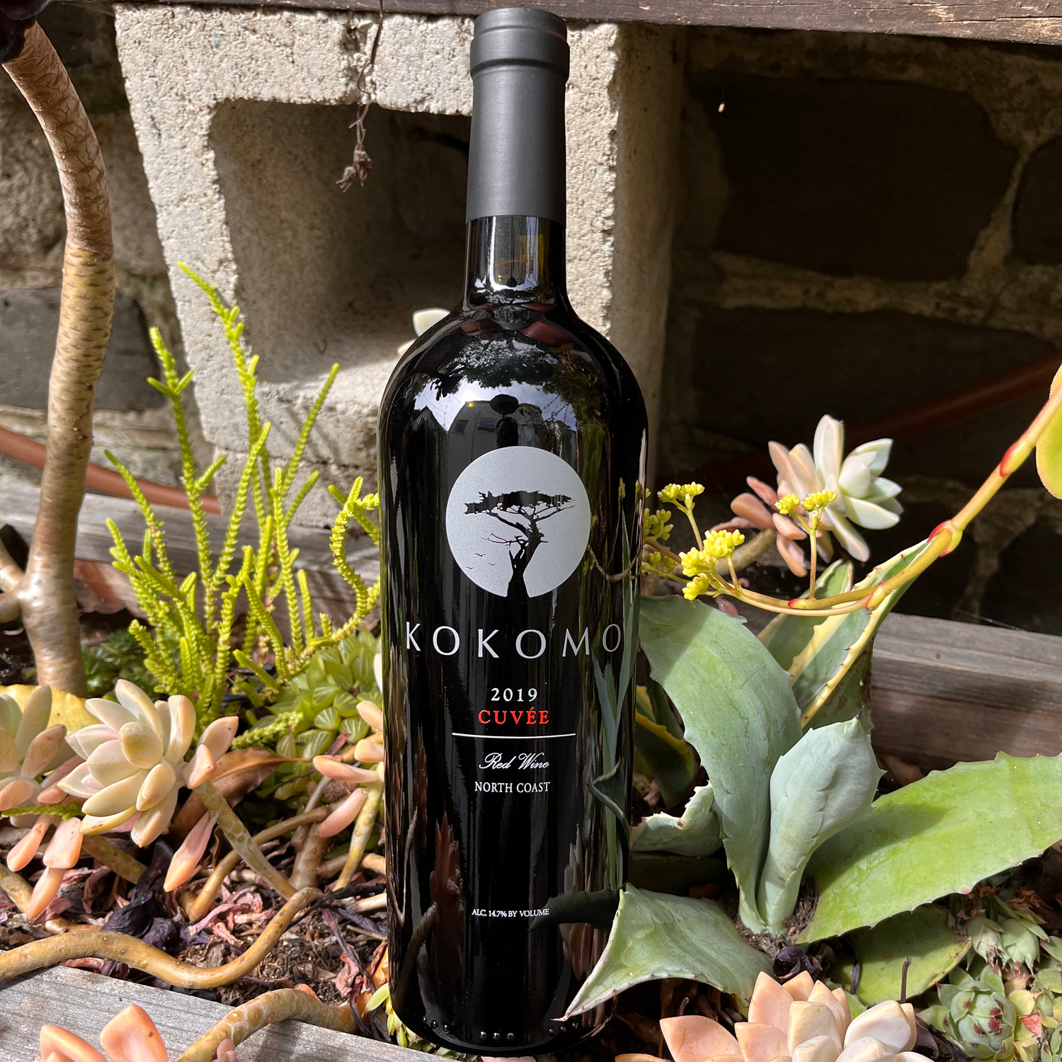 Kokomo Winery Cuvee North Coast 2019 — Kenshin Sake