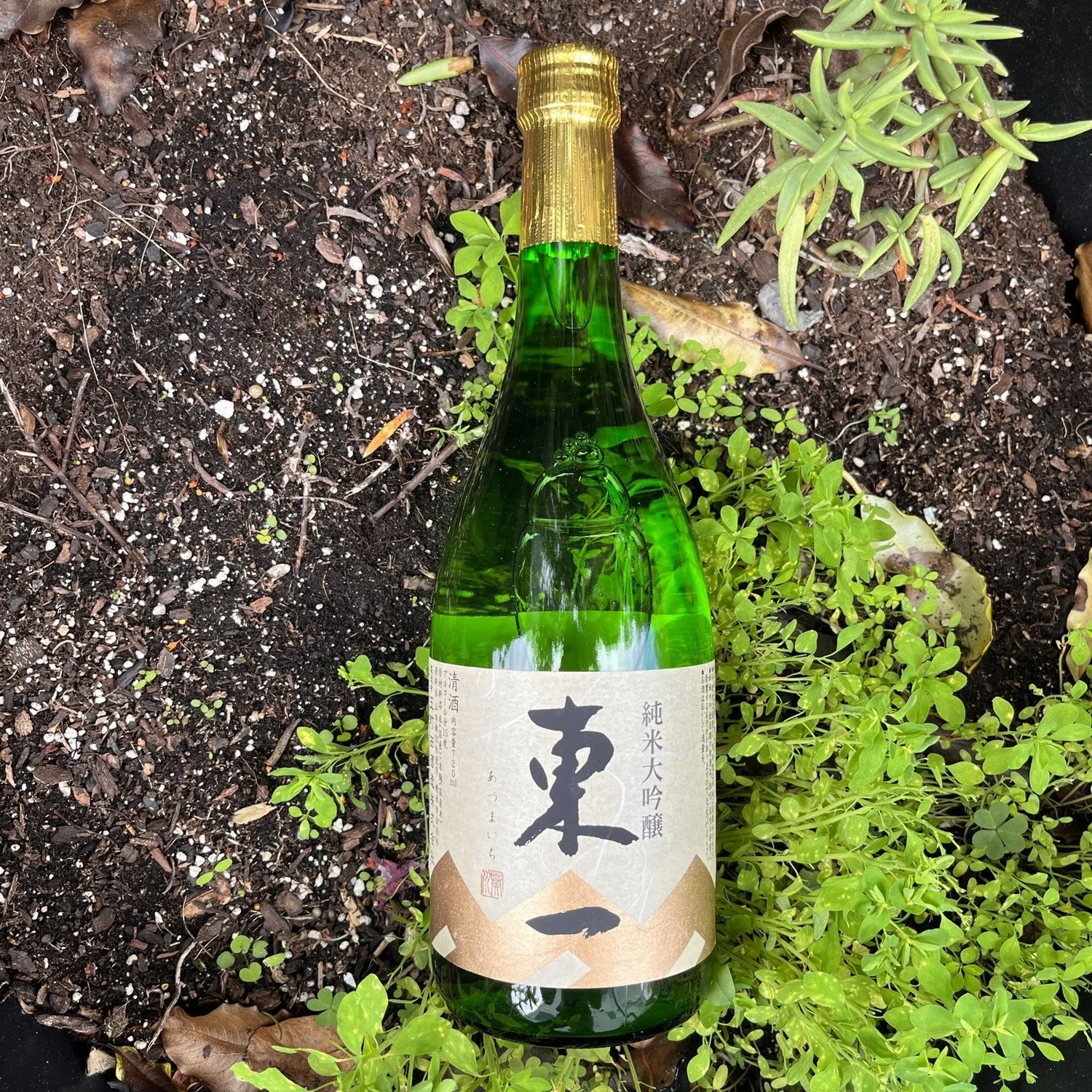 吉住 麹 Gochouda Brewery - Azumaichi 