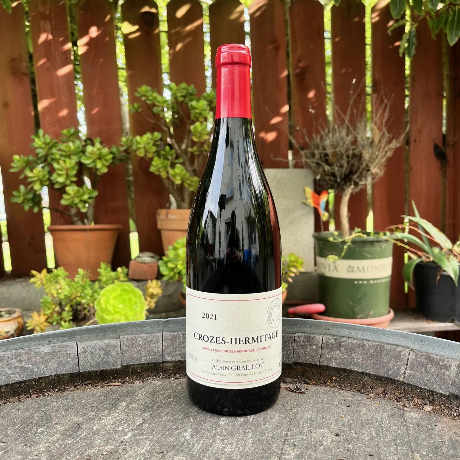 IMG_6132.jpeg?format=1500w