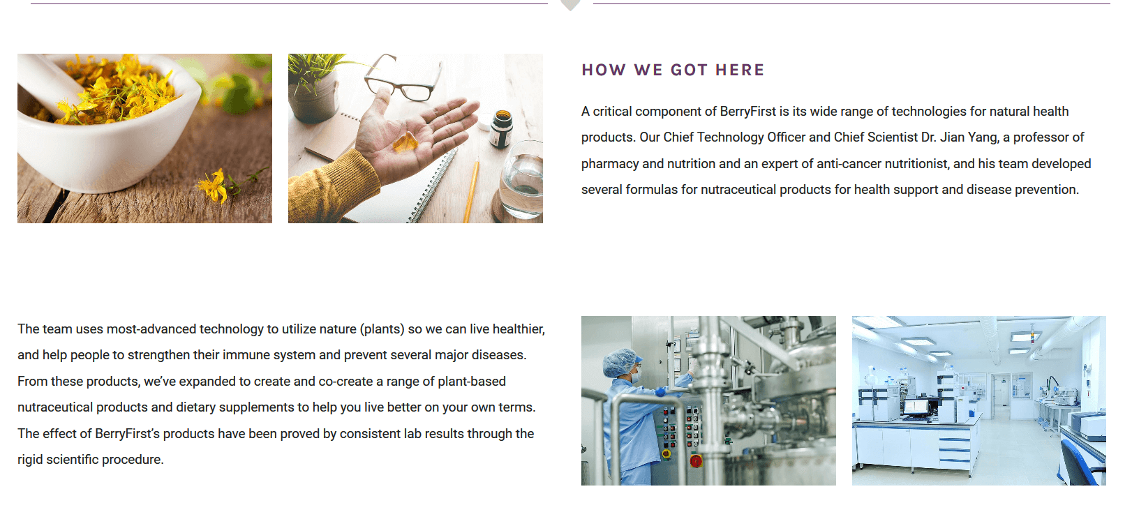BerryFirst About us(2).png