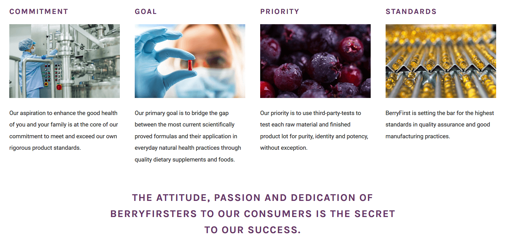 BerryFirst About us(1).png
