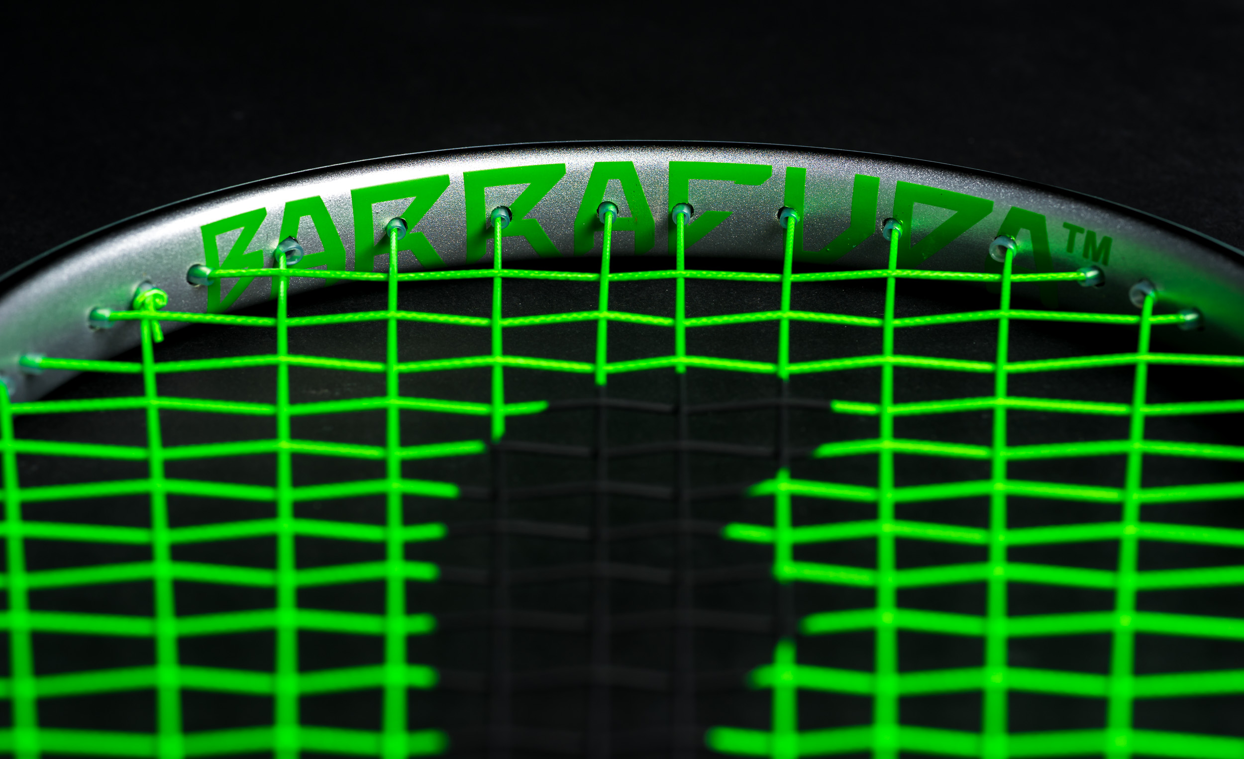 Barracuda Frame Detail