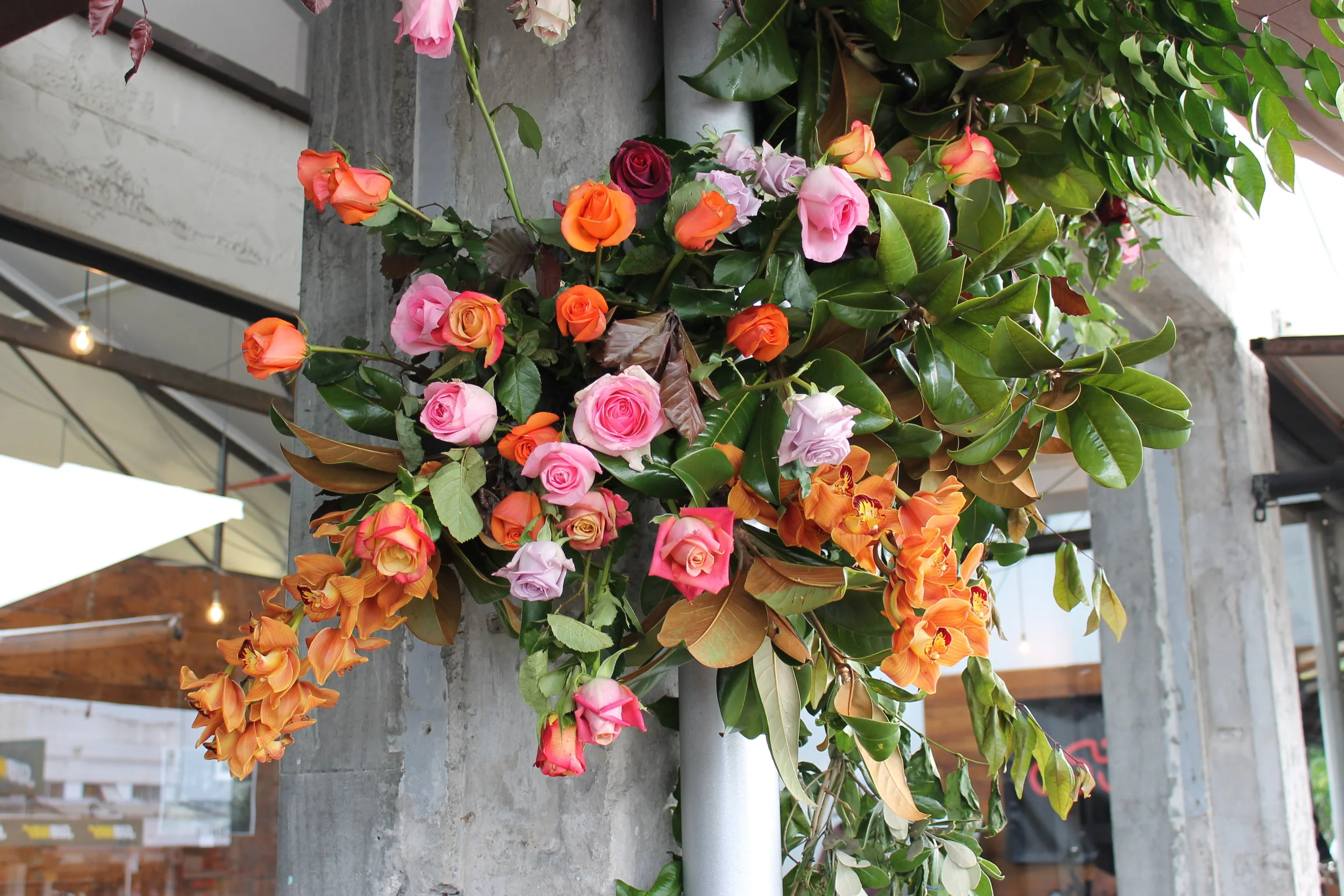 Nz Flowers Week 2018 Evie Kemp