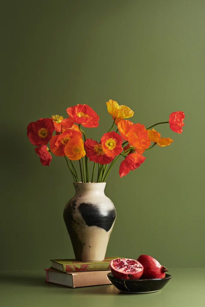 Icelandic Poppies are grown around Levin, and are pictured on a background of Dulux “Te Horo”.