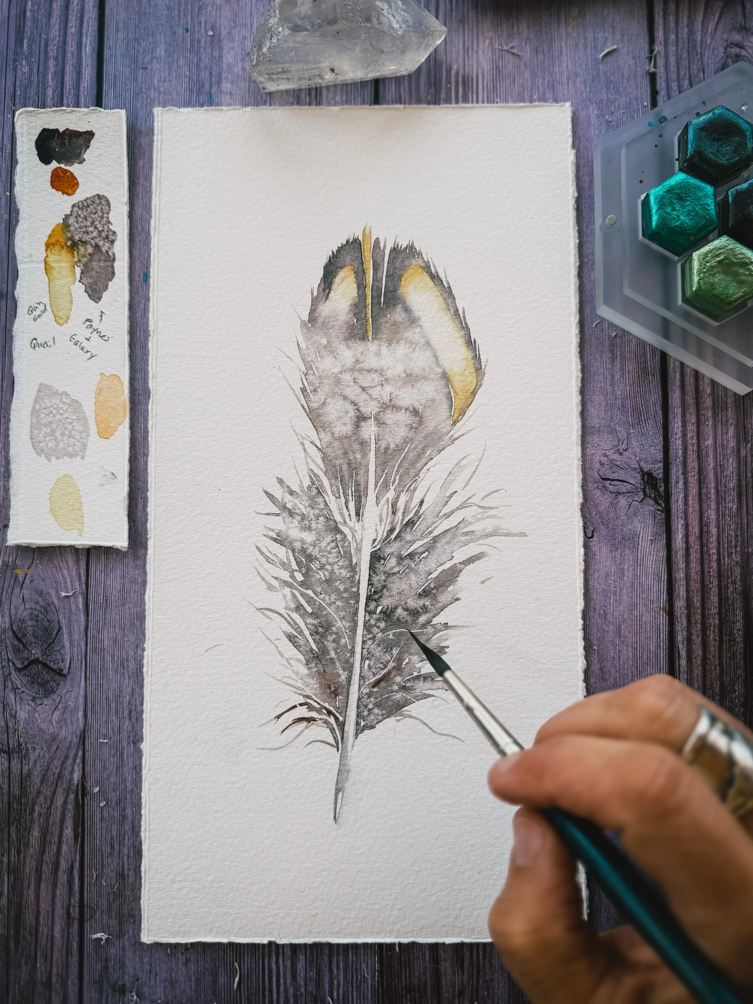 Artist Interview: Shayna Larsen