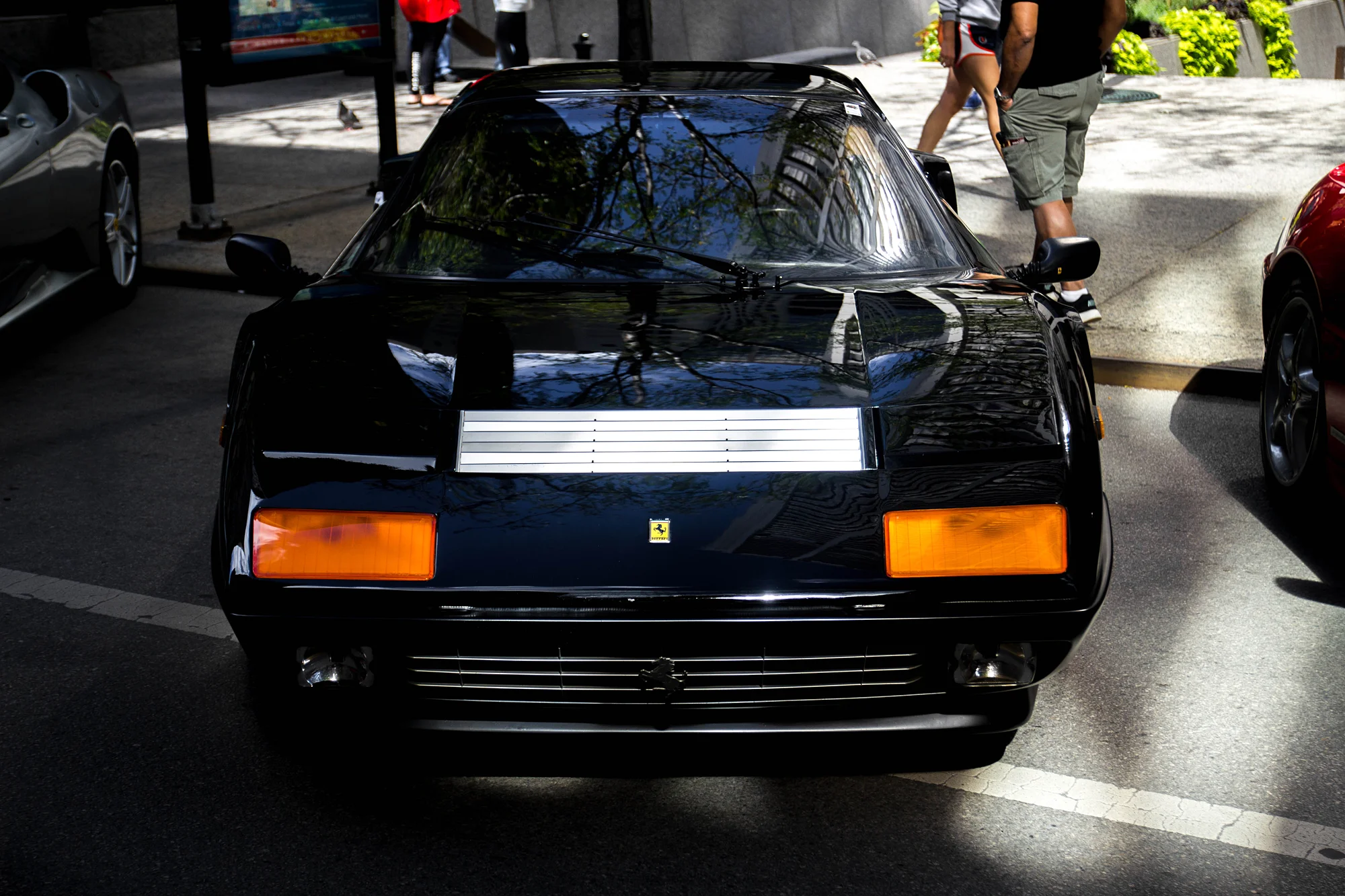 _MG_2344.jpg