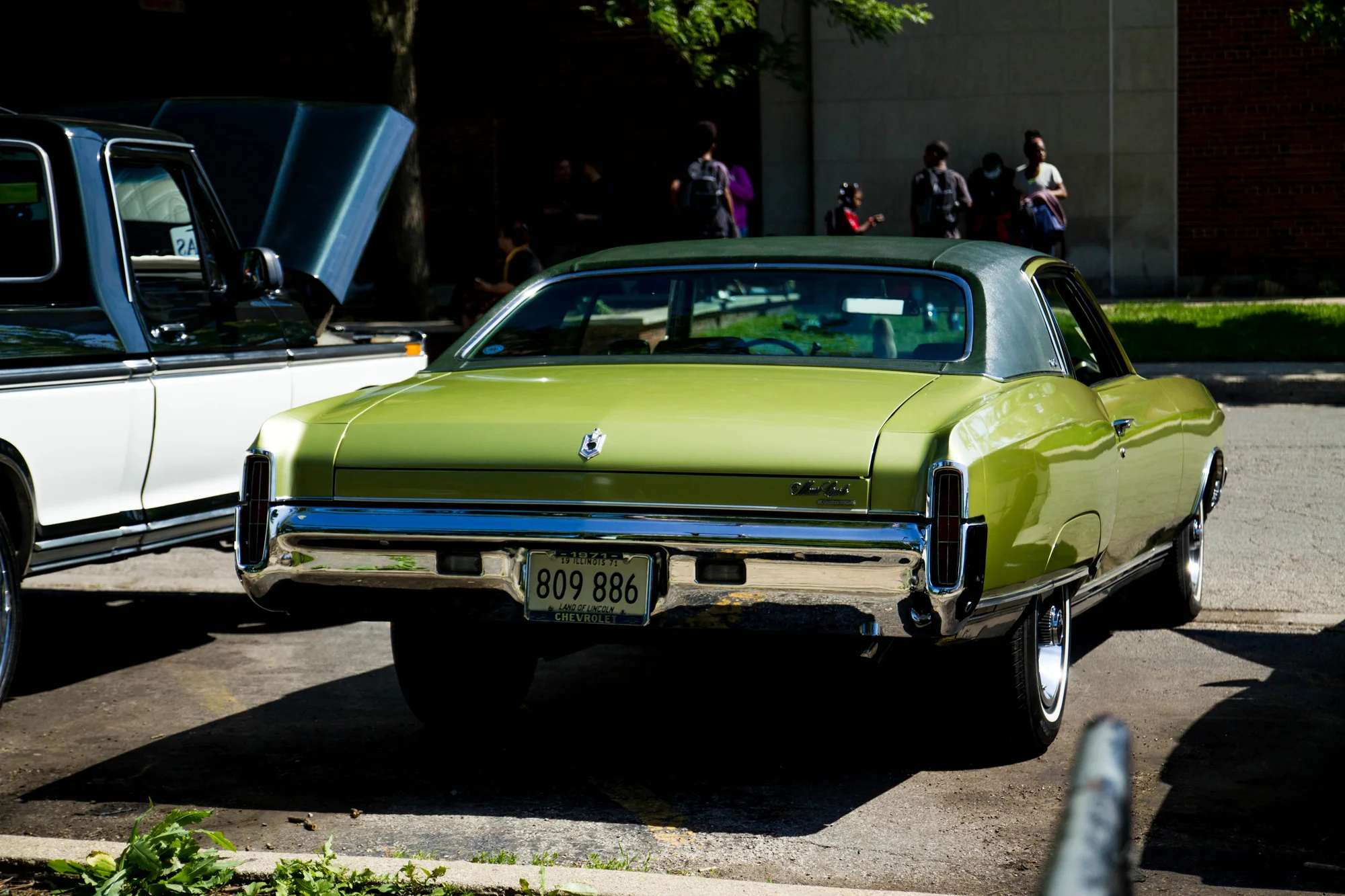 _MG_1514.jpg