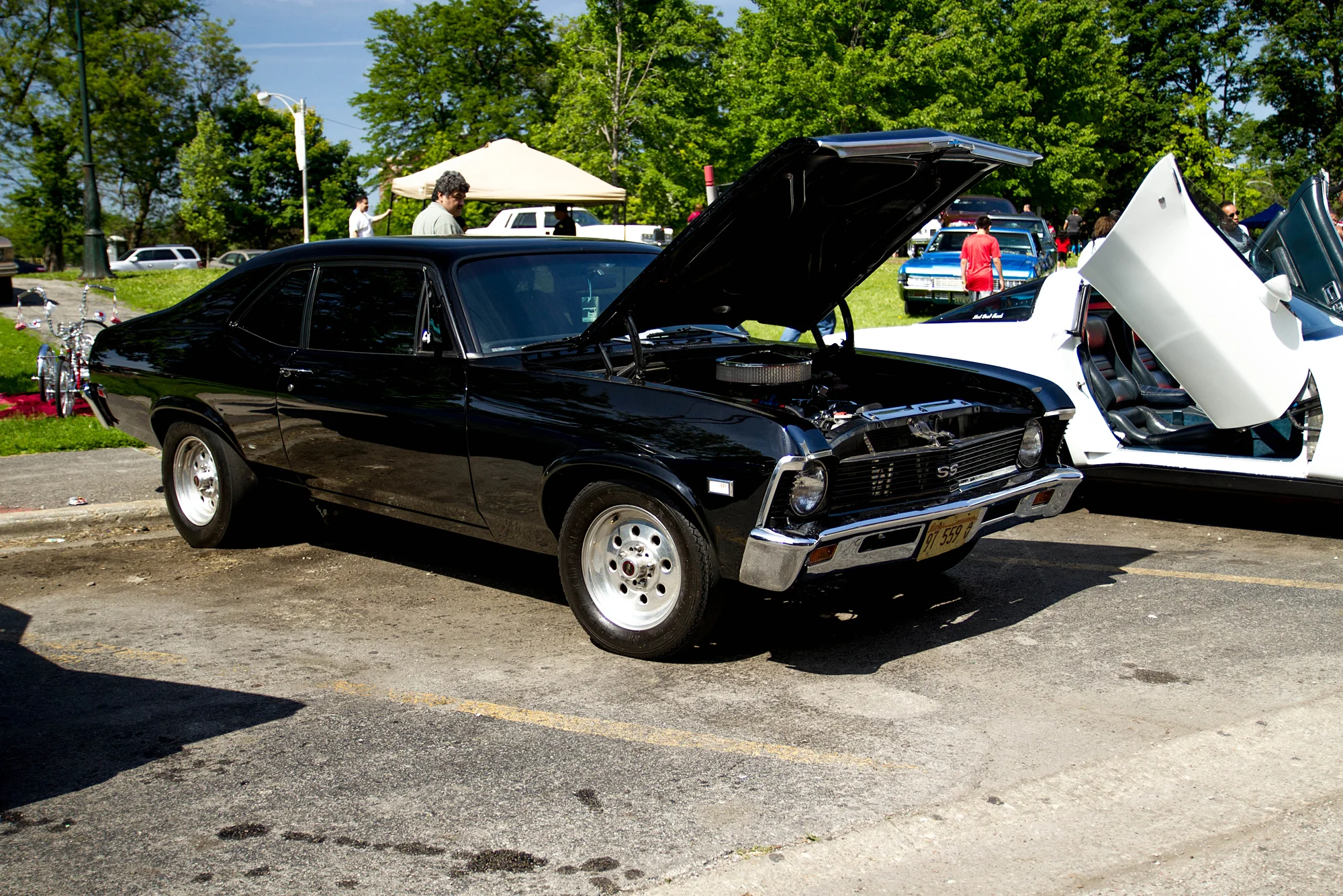 _MG_1559.jpg