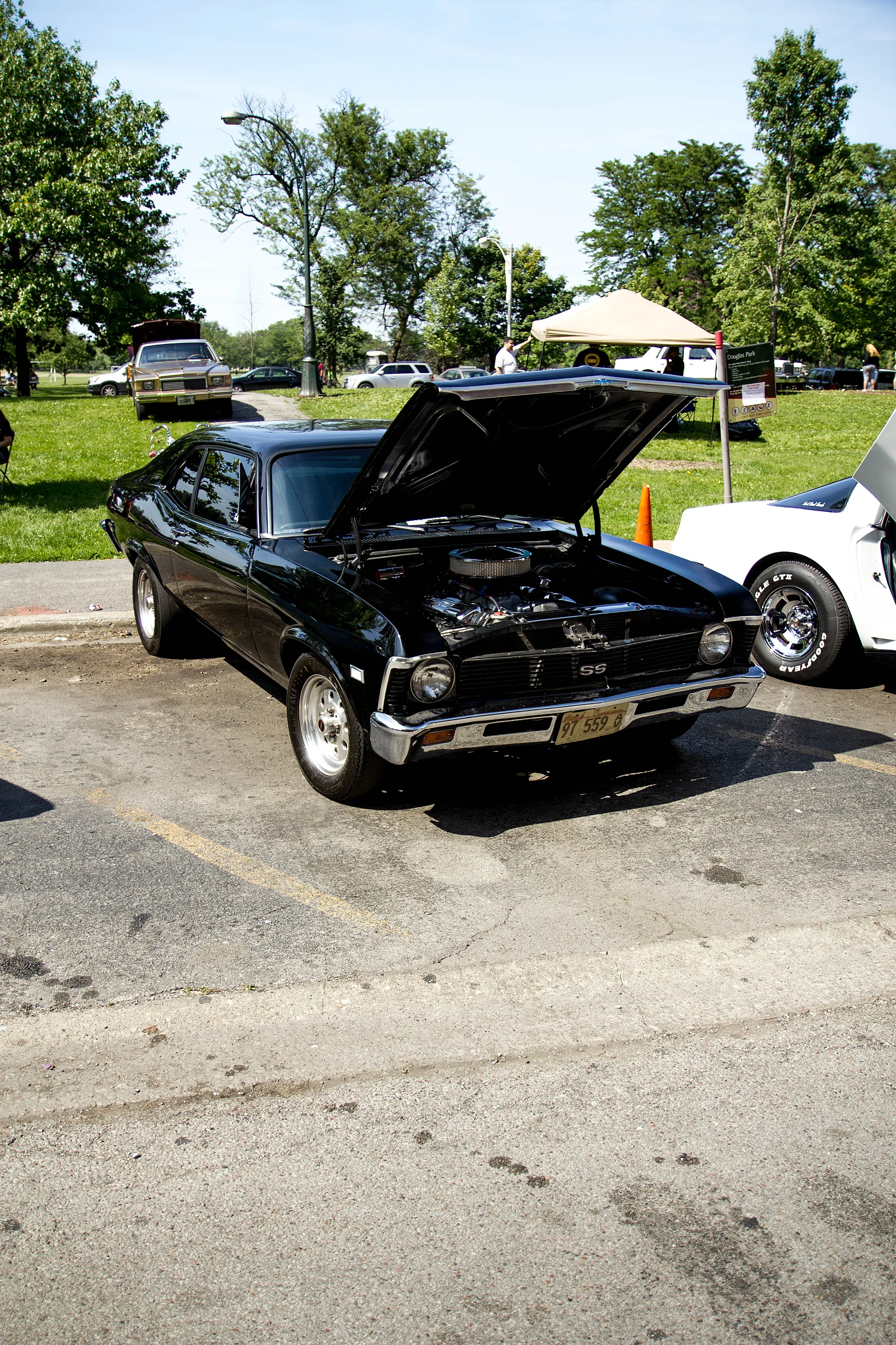 _MG_1562.jpg