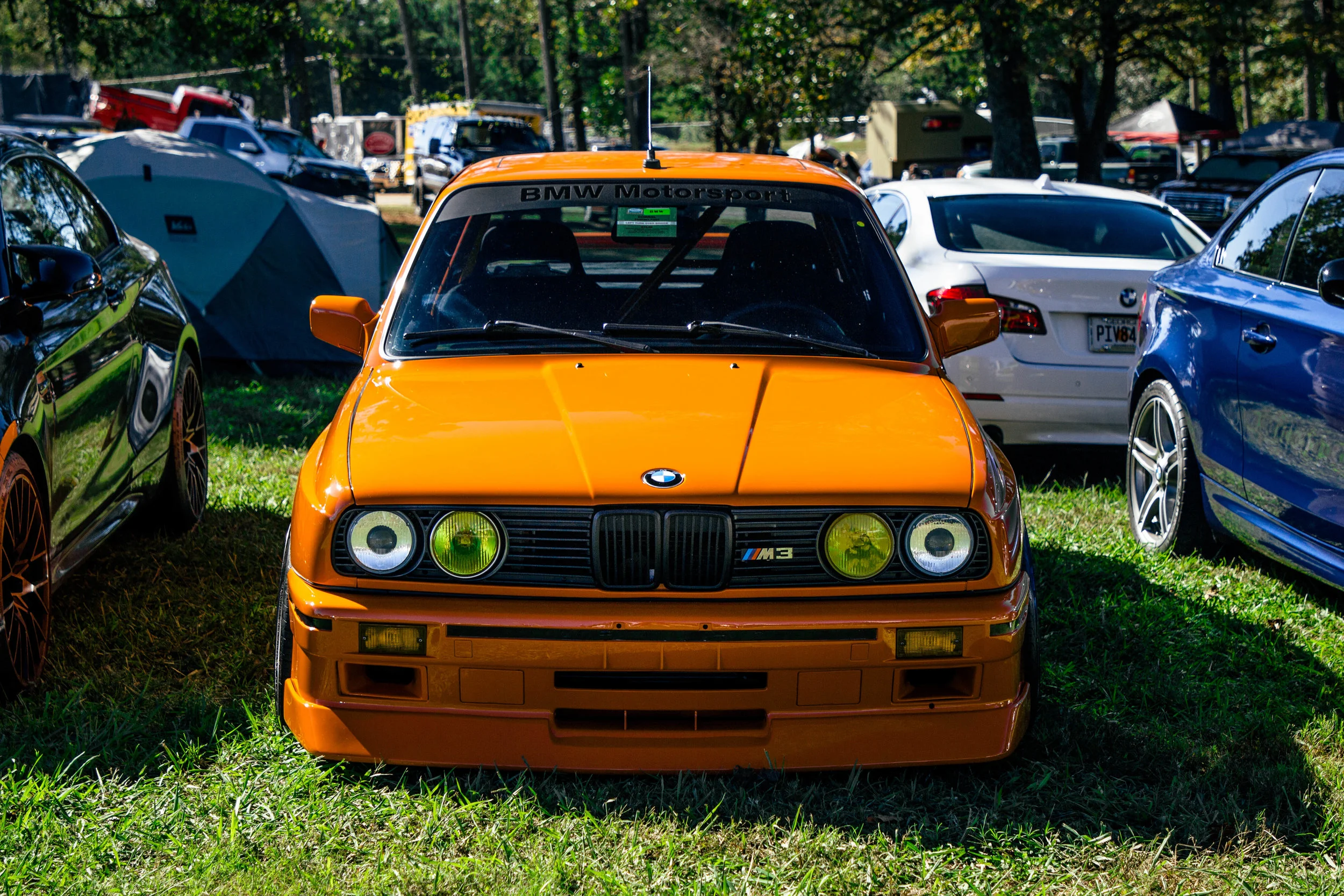 _MG_6404-2.jpg