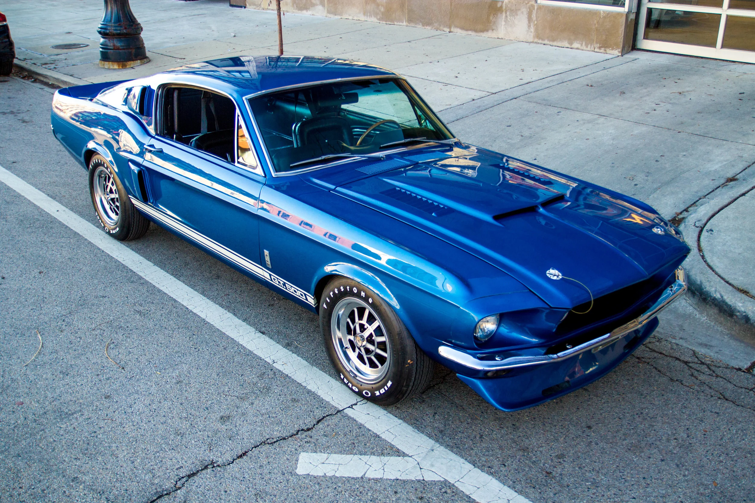 _MG_7681.jpg
