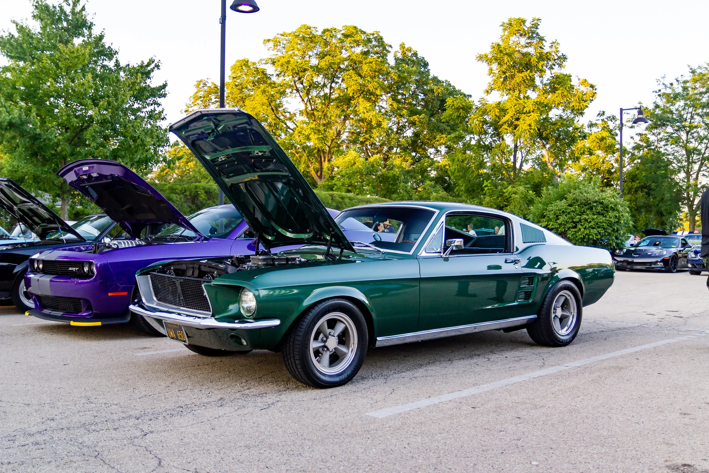 _MG_2430.jpg