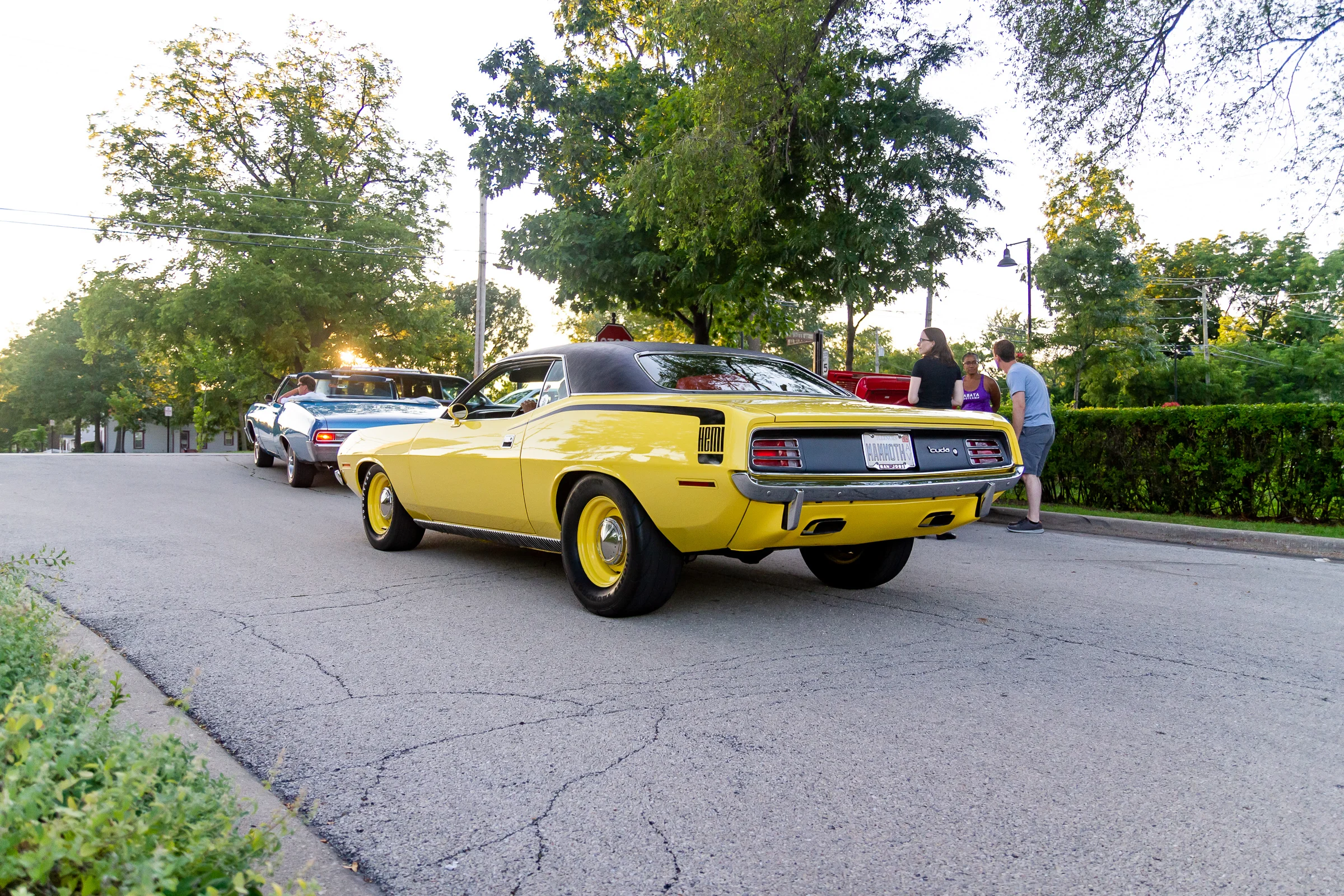 _MG_2438.jpg