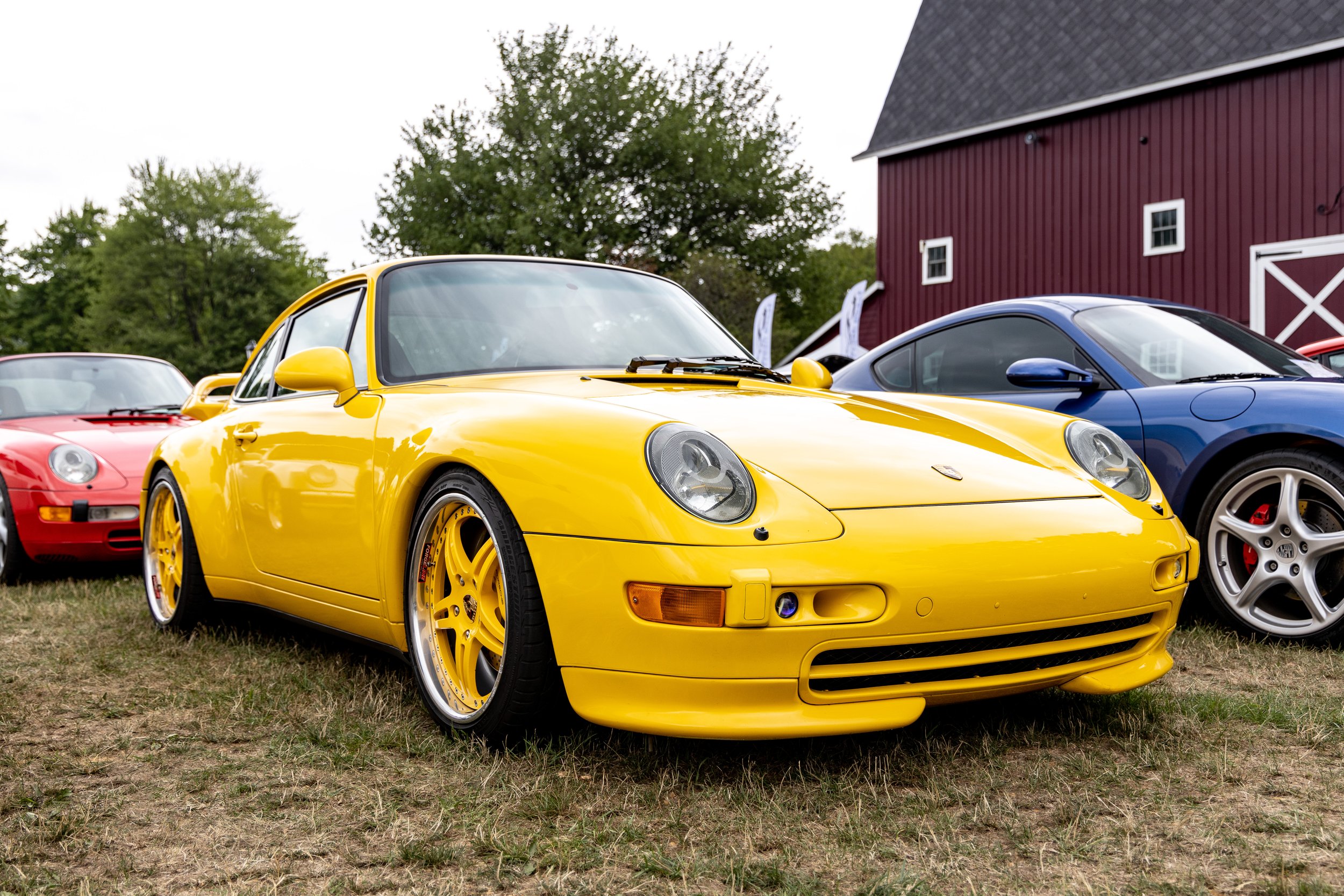 _OSR5226.jpg