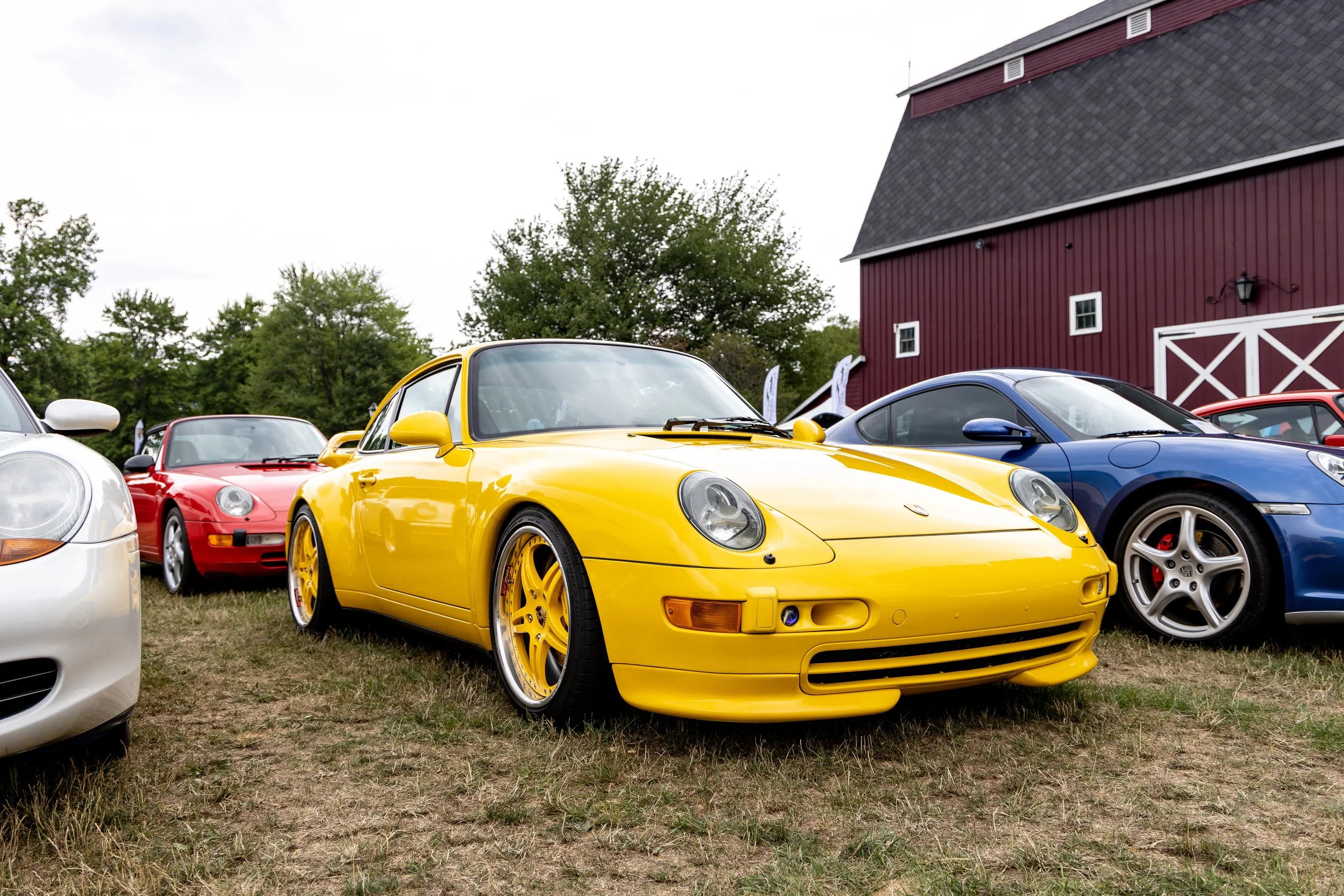 _OSR5225.jpg