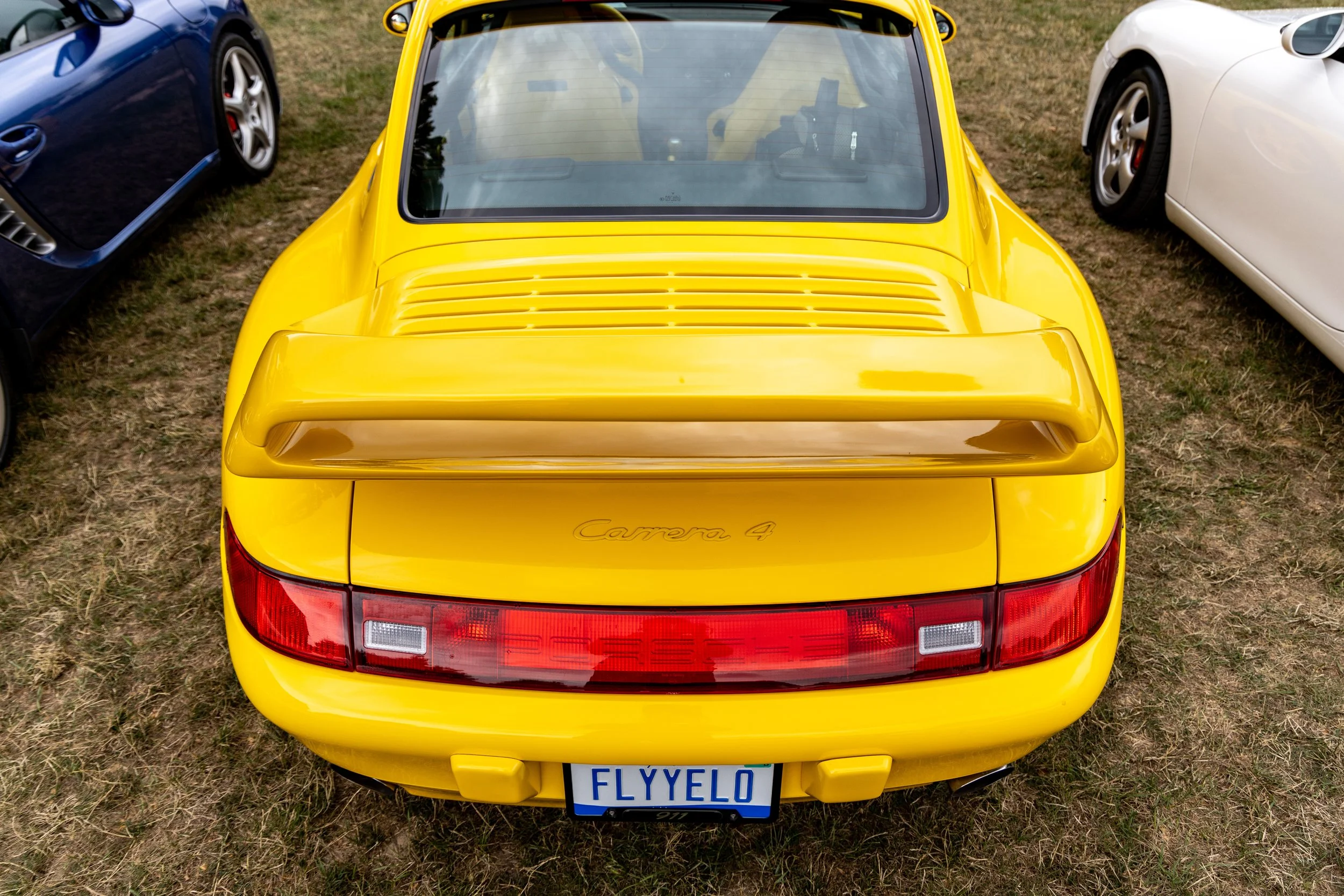 _OSR5230.jpg