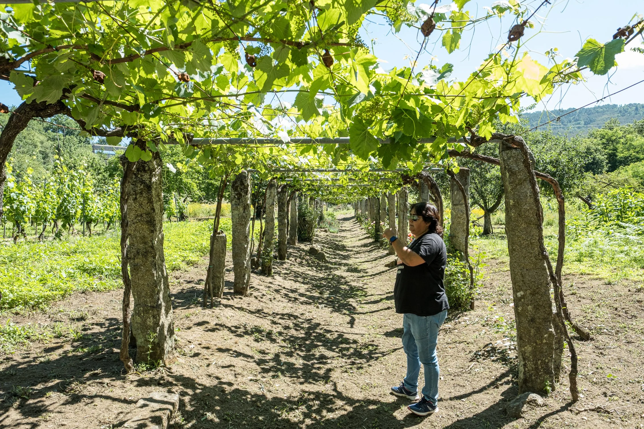 Son de Arrieiro Xulia 